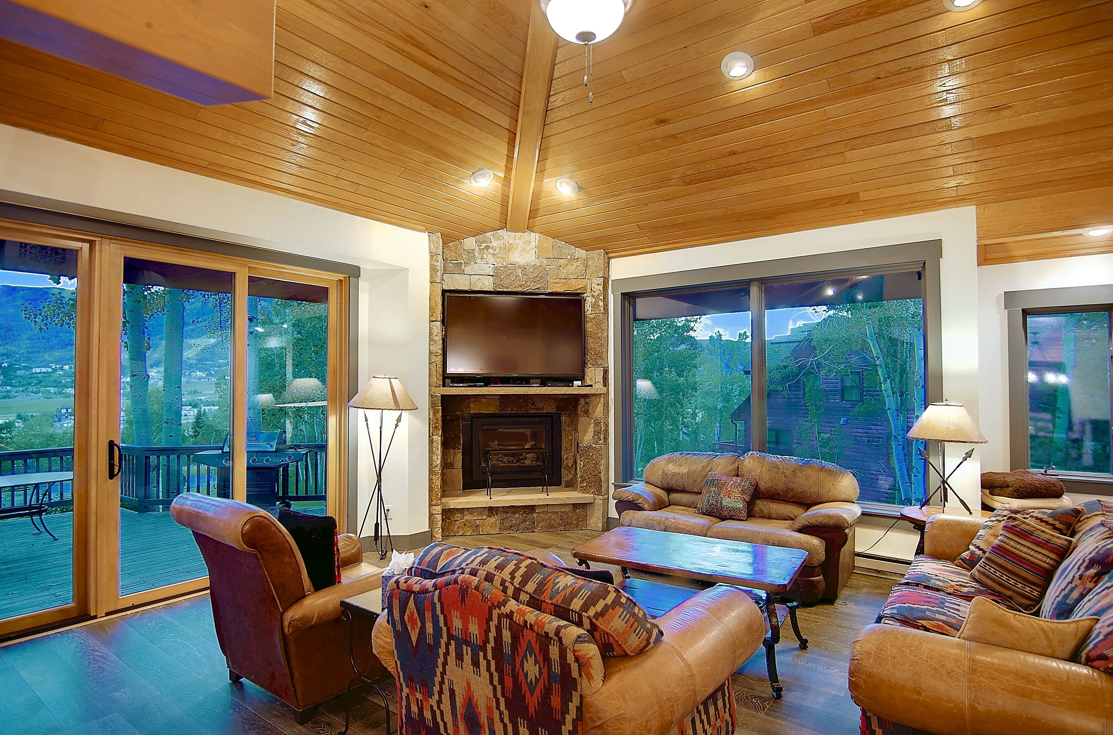 TV, peis, videospill og DVD-spiller