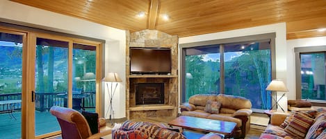 Televisión, chimenea, videojuegos, reproductor de DVD