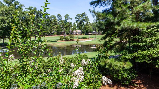 A golf course with a pond, surrounded by various trees and shrubs. - Golf front home with 8 beds (Pinehurst)