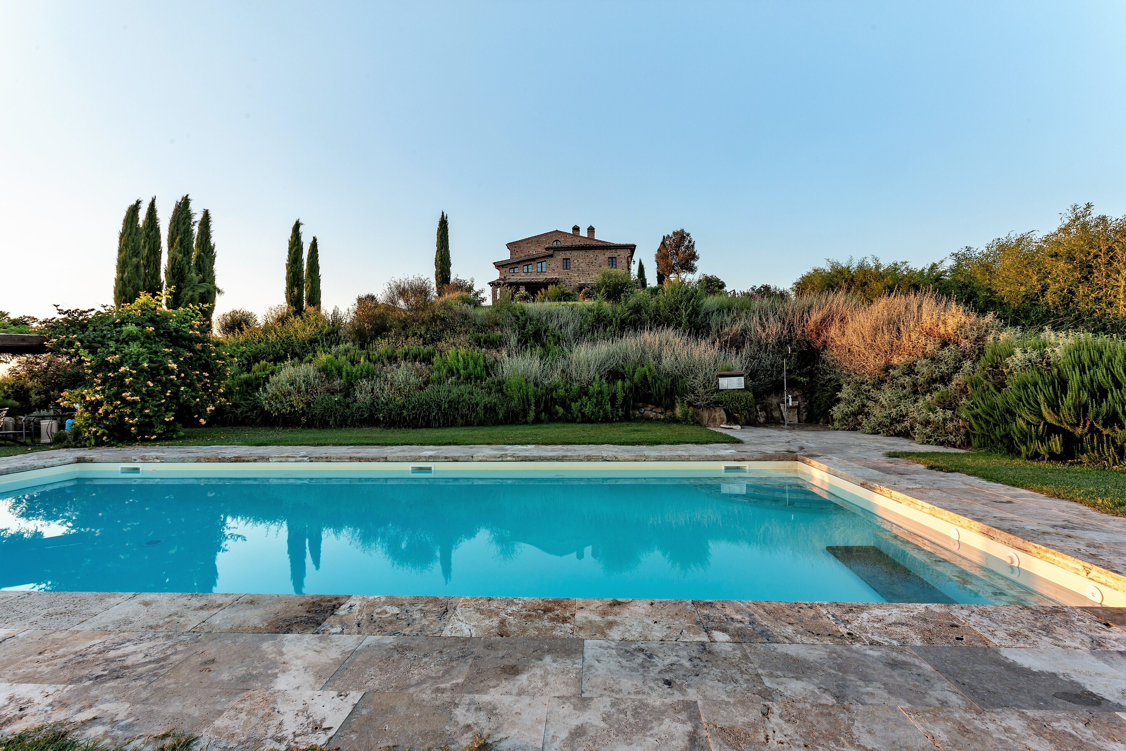 A rectangular swimming pool with a stone deck in the foreground, surrounded by lush greenery and tall trees.
