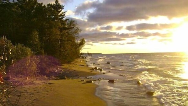 A beach with waves, trees, and a sunset.