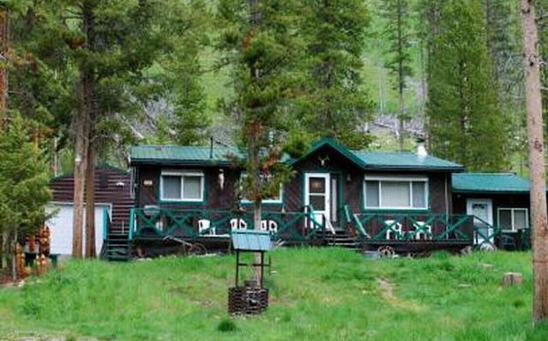 Sportsman's Getaway -  STANLEY IDAHO CABIN USA