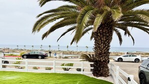 A view of a beachside parking area with a palm tree, a white fence, and a grassy lawn. - Best Spot in Carlsbad! Private Yard, Ocean View, Walk to beach.  (Carlsbad)