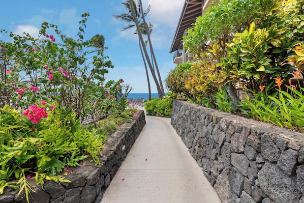 A pathway flanked by lush greenery and a stone wall, leading towards a building with a view of the ocean. - 🌴Lovely garden unit with partial ocean view from the lanai. Well equipped🌴 (Kailua-Kona)