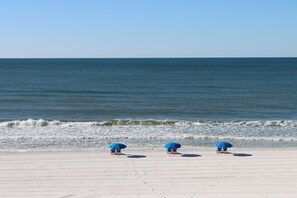 A beach with three blue umbrellas and a clear view of the ocean. - BLUE DOLPHIN PENTHOUSE LUXURY 3 BDR 3 BA 2026 Booking Fast (Fort Walton Beach)