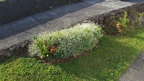 A charming house surrounded by beautiful nature. Cosy, WiFi & fully equipped.