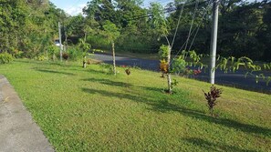 Property grounds - A charming house surrounded by beautiful nature. Cosy, WiFi & fully equipped. (Nuevo Arenal)