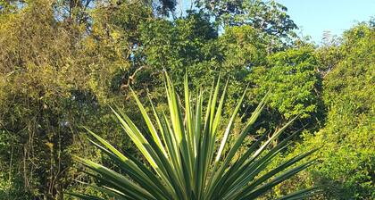 A charming house surrounded by beautiful nature. Cosy, WiFi & fully equipped.