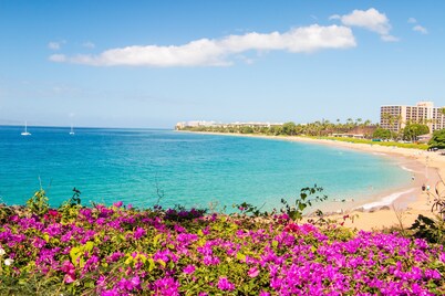 Summit Residence at KAANAPALI VISTA~4500 sf~5B/5.5B Pool/Ocean View~