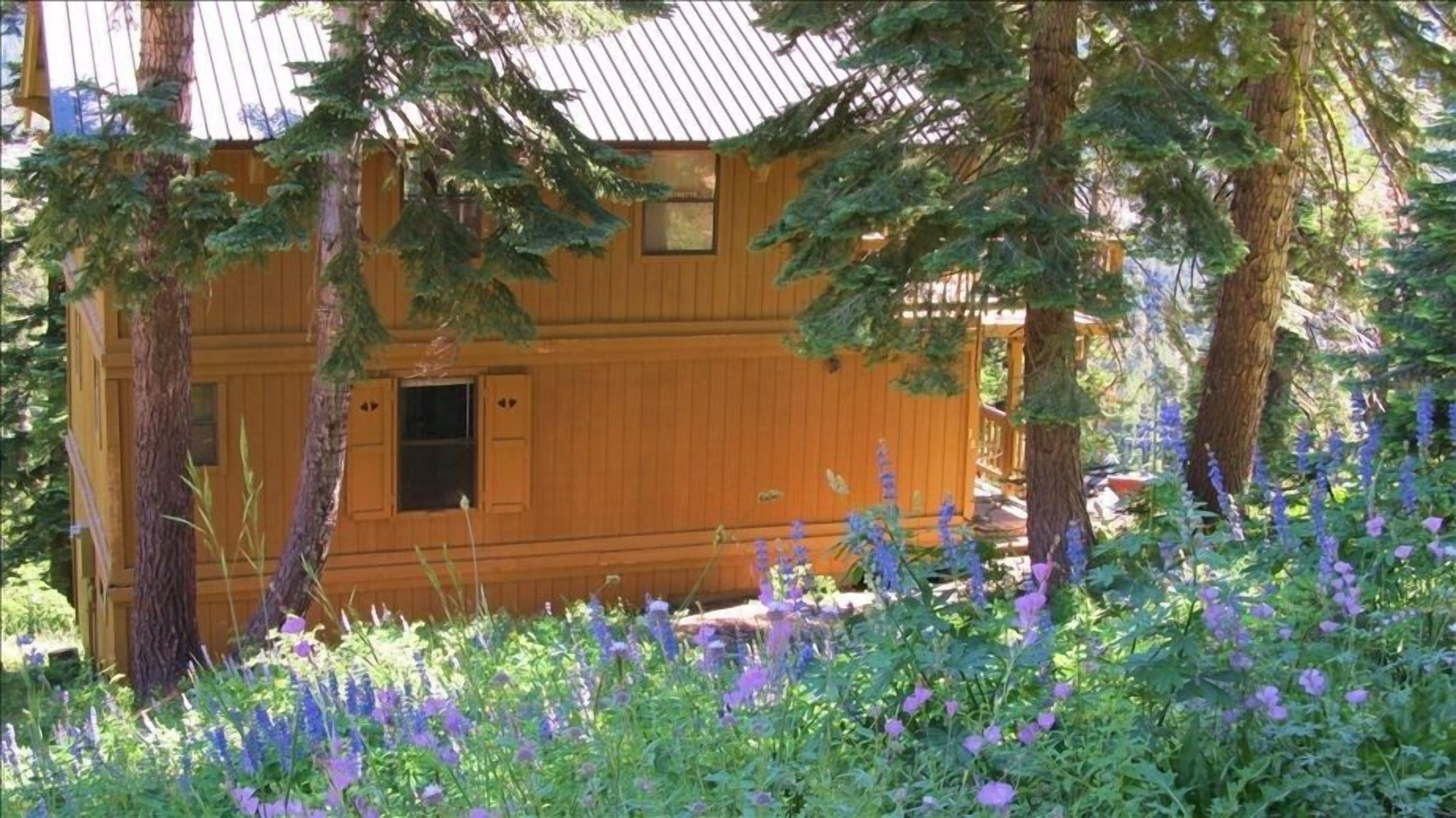 Comfort, Privacy, and Panoramic Views at 7000 Feet!