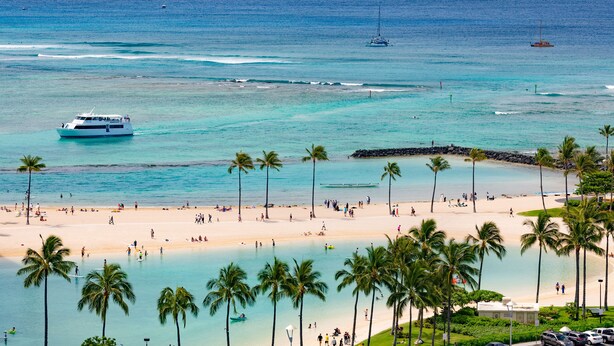 A beach with palm trees, a boat, and a rocky breakwater. - Ilikai Hotel, Ocean Front, Hip Real 1 BDR,  City View, Best Surf in Waikiki (Honolulu)