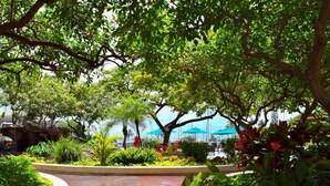 A lush garden pathway with a curved design, surrounded by various tropical plants and trees. - Ilikai Hotel, Ocean Front, Hip Real 1 BDR,  City View, Best Surf in Waikiki (Honolulu)