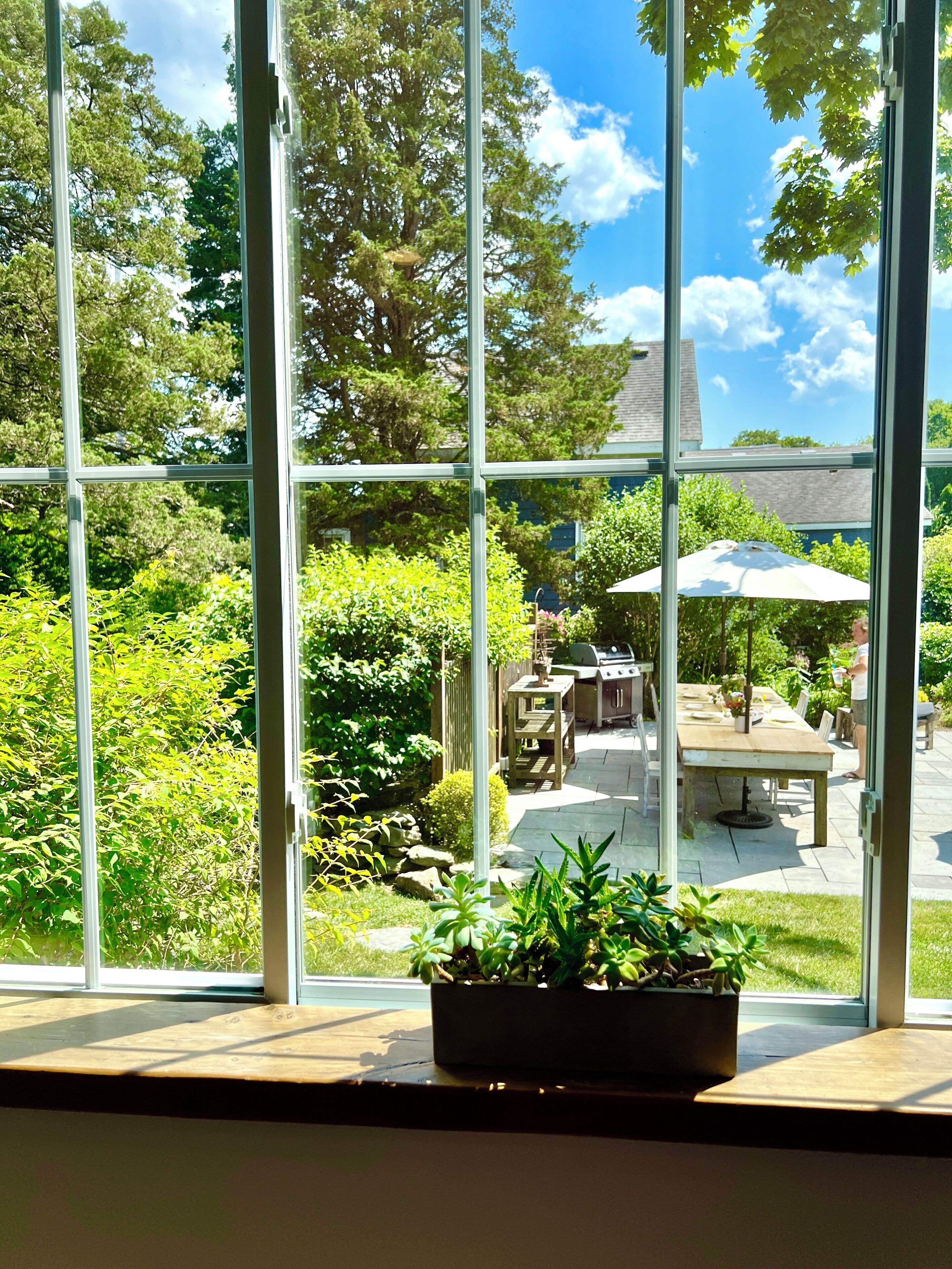 View from the dining room to part of the backyard 