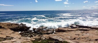 Charming Oceanfront Cottage-Great Views and 20 Feet from Shore