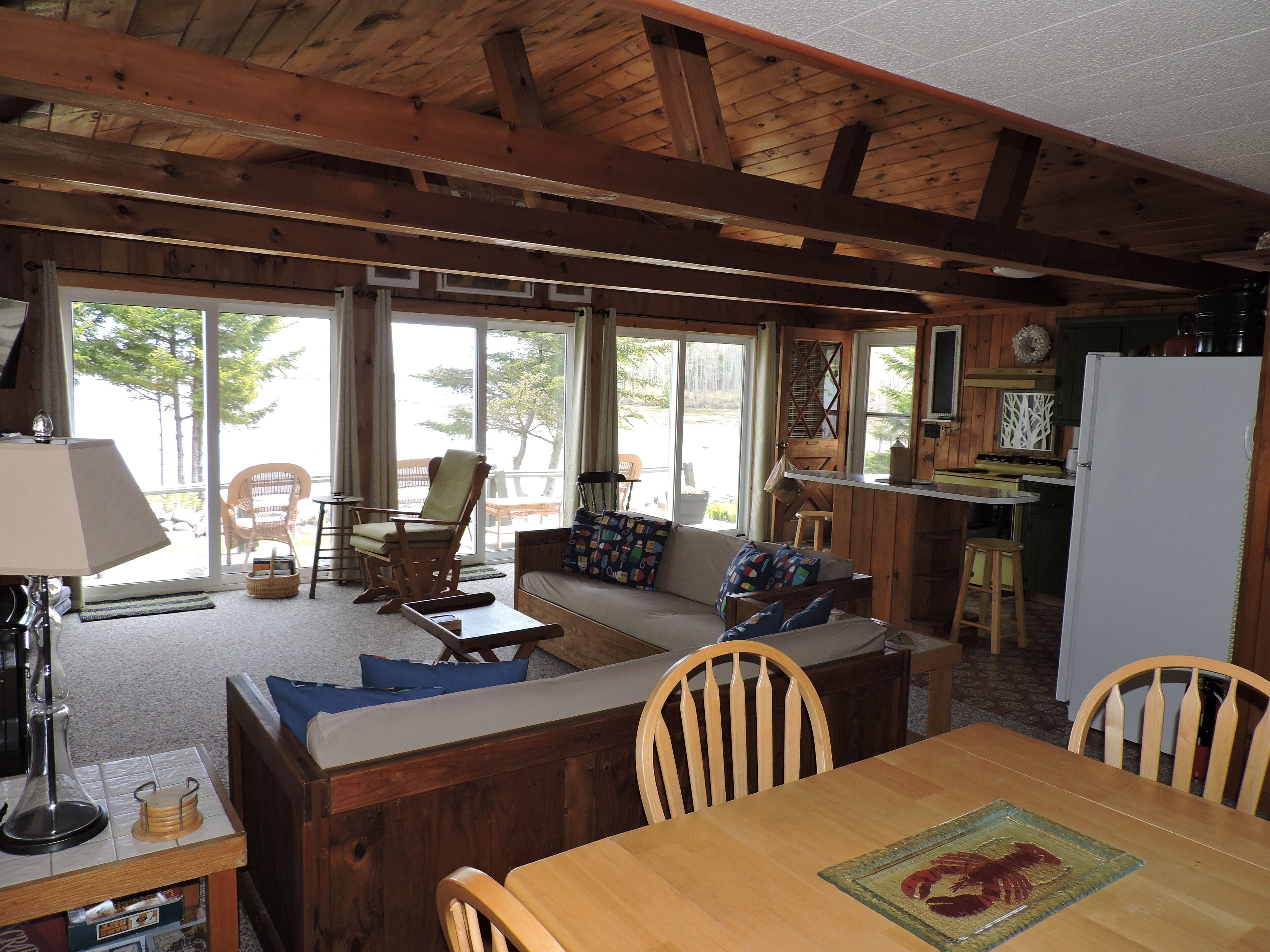 电视、壁炉、DVD 播放器、书