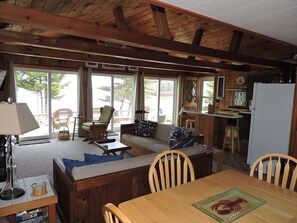 Televisión, chimenea, reproductor de DVD y libros