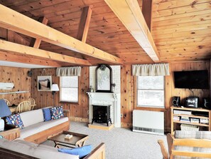 Televisión, chimenea, reproductor de DVD y libros