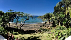 A beach with clear blue water, surrounded by lush greenery and palm trees. - Villa Cala N°11 - 23 Steps to the Pacific Ocean, Luxury Villa with Stunning View (Bahia Pez Vela)