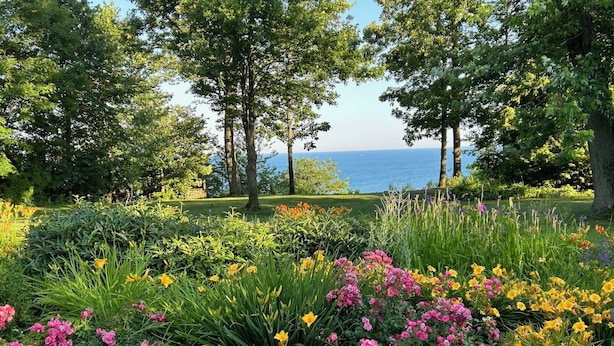 Een tuin met diverse bloemen en bomen, een heldere lucht en uitzicht op zee.