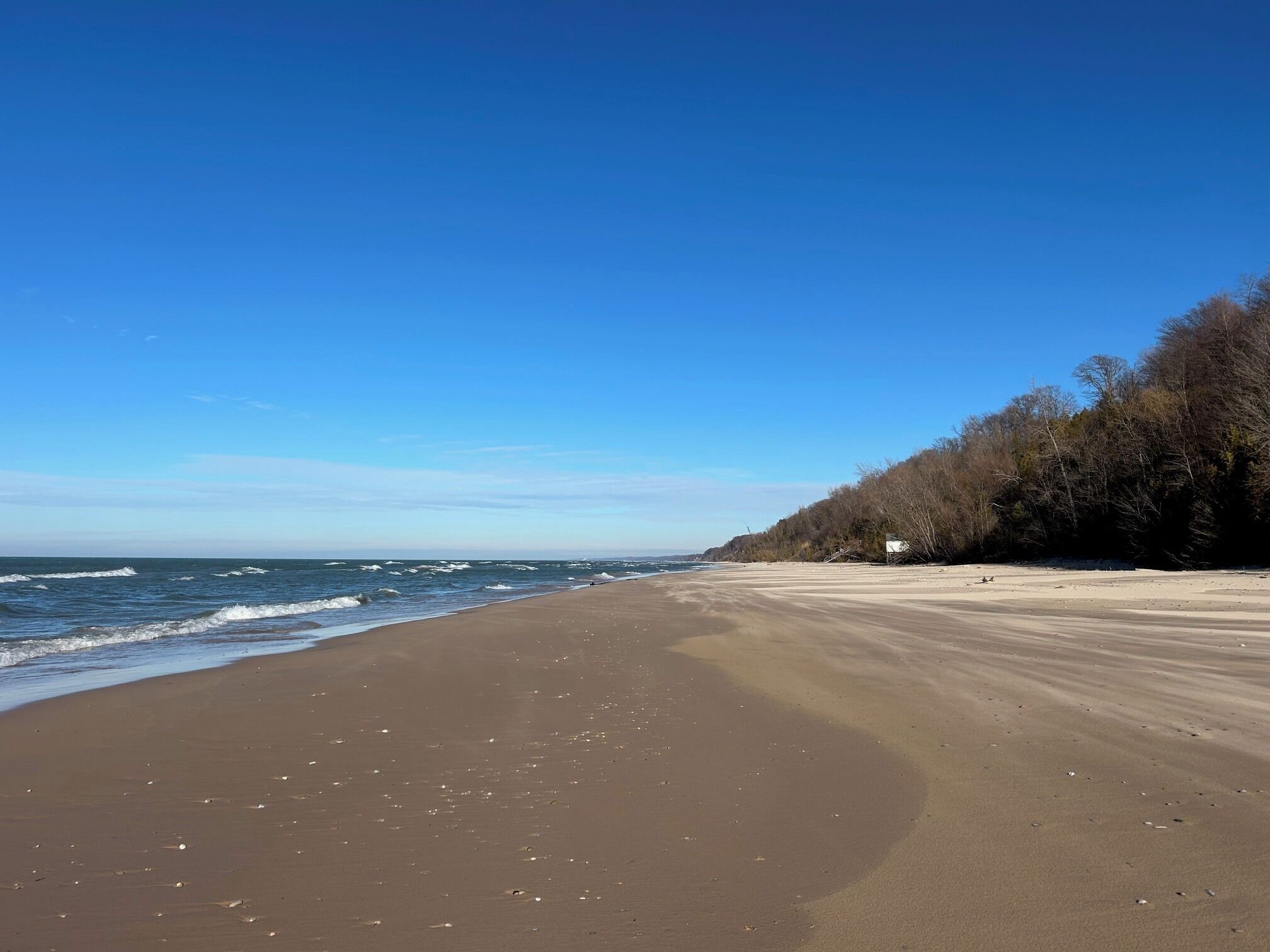 A wide sandy beach with gentle waves, a clear blue sky, and a forested hillside in the background.