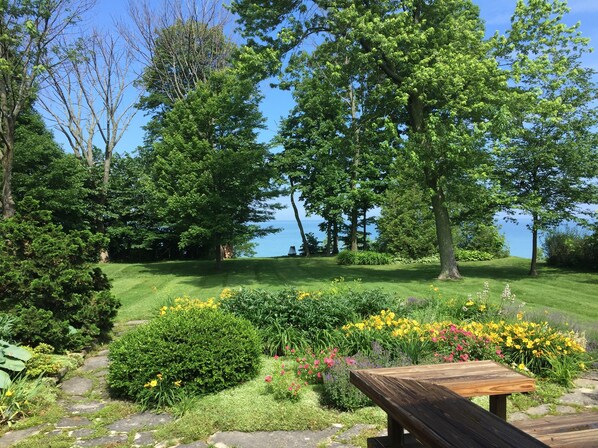 A park with a wooden bench, lush greenery, and a view of the sea.