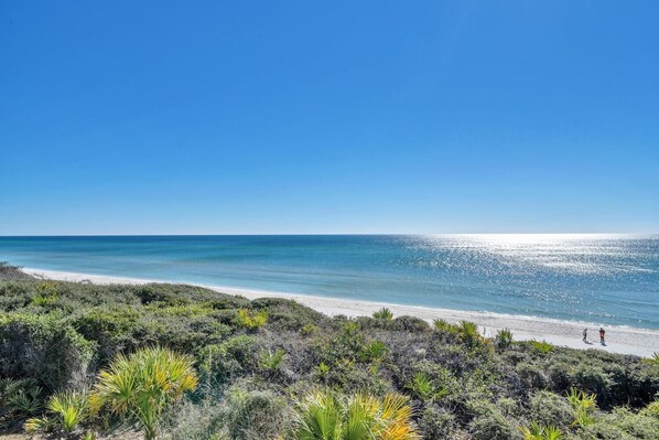 A beach with clear skies, a sandy shore, and dense vegetation in the foreground. - Seabiscuit -Scenic 30A, Phenomenal Gulf Front Condo w/Spectacular Views! (Rosemary Beach)