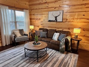 Televisio, takka, DVD-soitin, videokirjasto