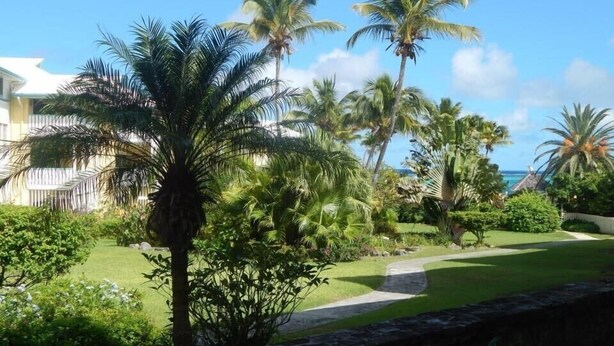 A tropical garden with palm trees and a pathway leading to a building. - Beach Condo in Great Location with Cruzan Rum Bar (Christiansted)