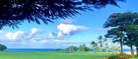 A lush green landscape with a clear view of the ocean and palm trees.
