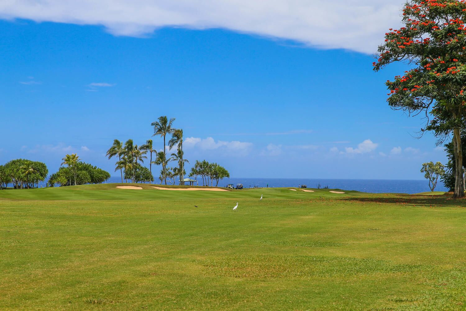 A golf course with a clear view of the ocean and palm trees.