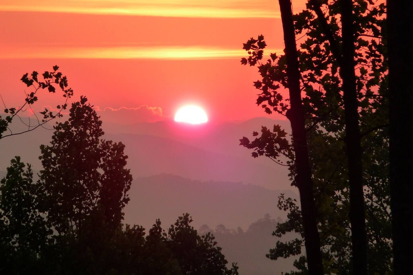 A sunset with the sun partially obscured by trees.