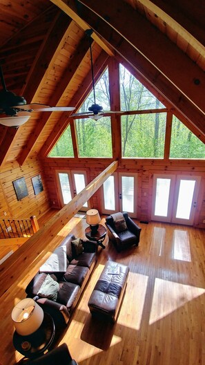 Älytelevisio, takka, DVD-soitin, kirjoja