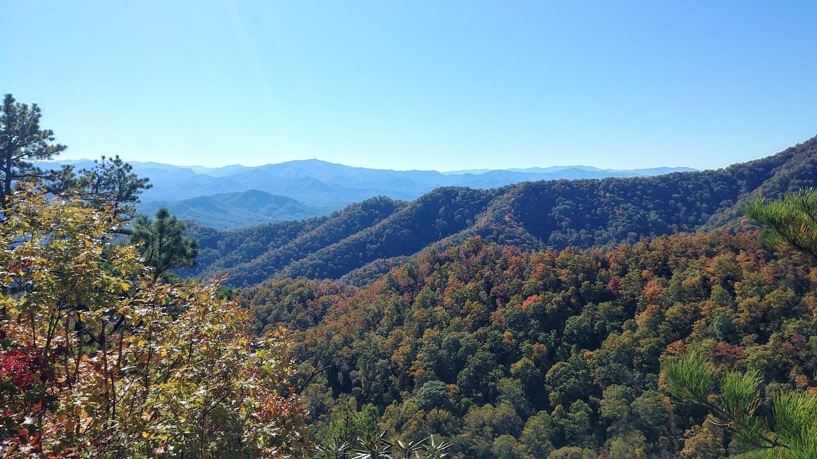 Un paisaje montañoso con bosques densos y cielos despejados.