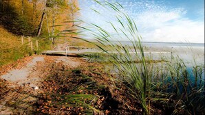 Un sendero junto al lago con un puente de madera, rodeado de follaje otoñal y hierbas altas.