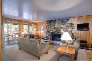TV, fireplace, books