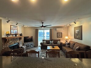 Smart TV, fireplace, DVD player, books
