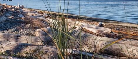 Aan het strand, ligstoelen aan het strand, strandlakens
