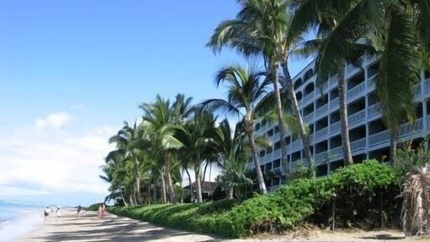 Un hotel frente a la playa, con una fila de palmeras y una playa de arena.