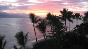 Una playa con palmeras y un atardecer.