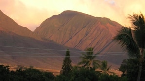 Un paisaje montañoso con palmeras al frente.