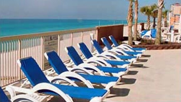 A row of blue lounge chairs facing the ocean, with palm trees and a clear sky in the background.