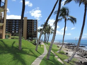 A pathway lined with palm trees leading to a beach with a building in the background. - 402 - Spectacular Oceanview Unit with A/C! 2 sofa beds! (Kihei)