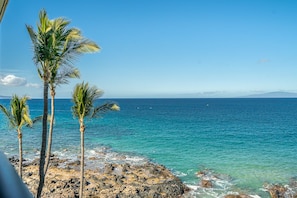 A coastal view with palm trees and clear blue water.