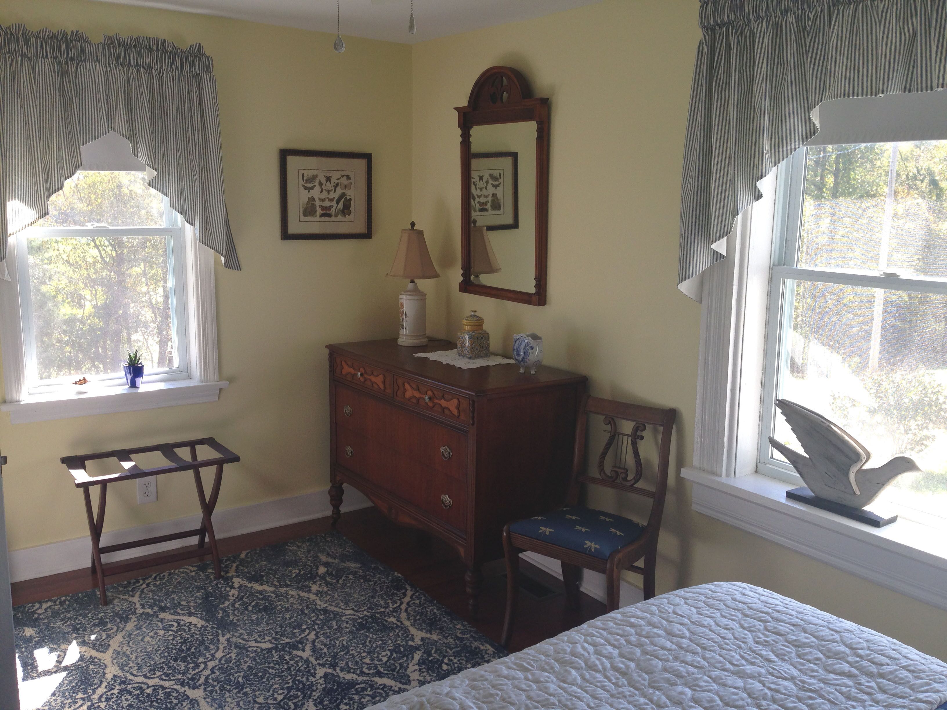 Blue Ridge Mountains, Hiking, Skiing, Fishing, Mountain Air, Breweries, Wineries