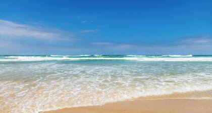 Ocean Front view, pool view 2 bedroom Booking fast!