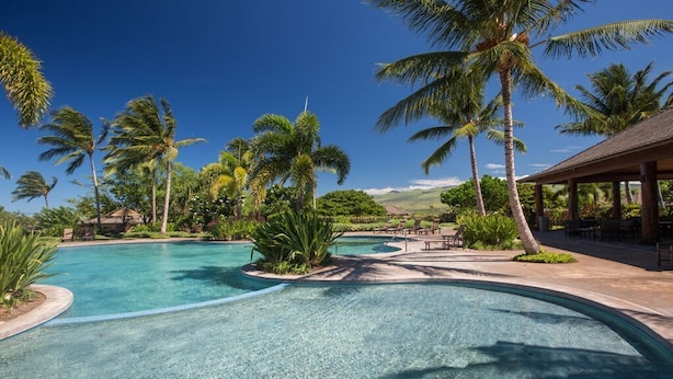 A clear blue pool with palm trees and a covered seating area.