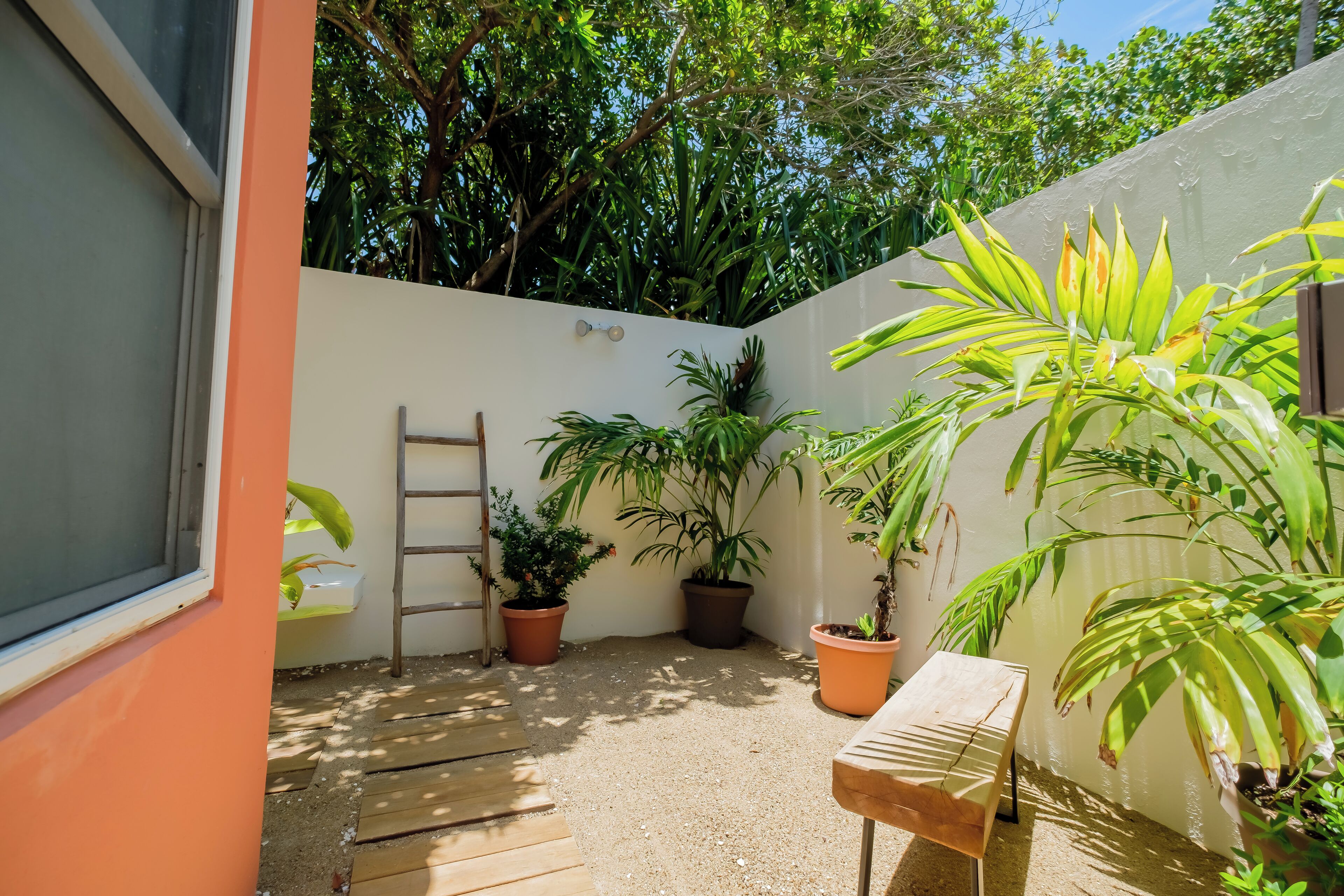 Un petit espace extérieur clos, avec un banc en bois, des plantes en pot et une échelle appuyée contre un mur.