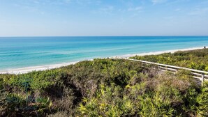 A coastal landscape with a beach, dense vegetation, and a clear blue sky.