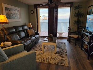 TV, DVD player, books, video library