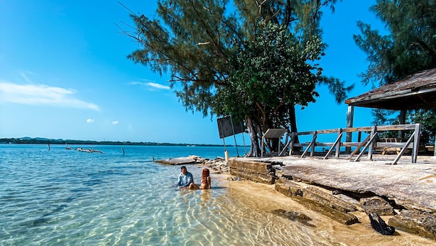 Una playa con aguas poco profundas y cristalinas, un muelle de madera y un árbol que da sombra.